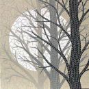 White Sun